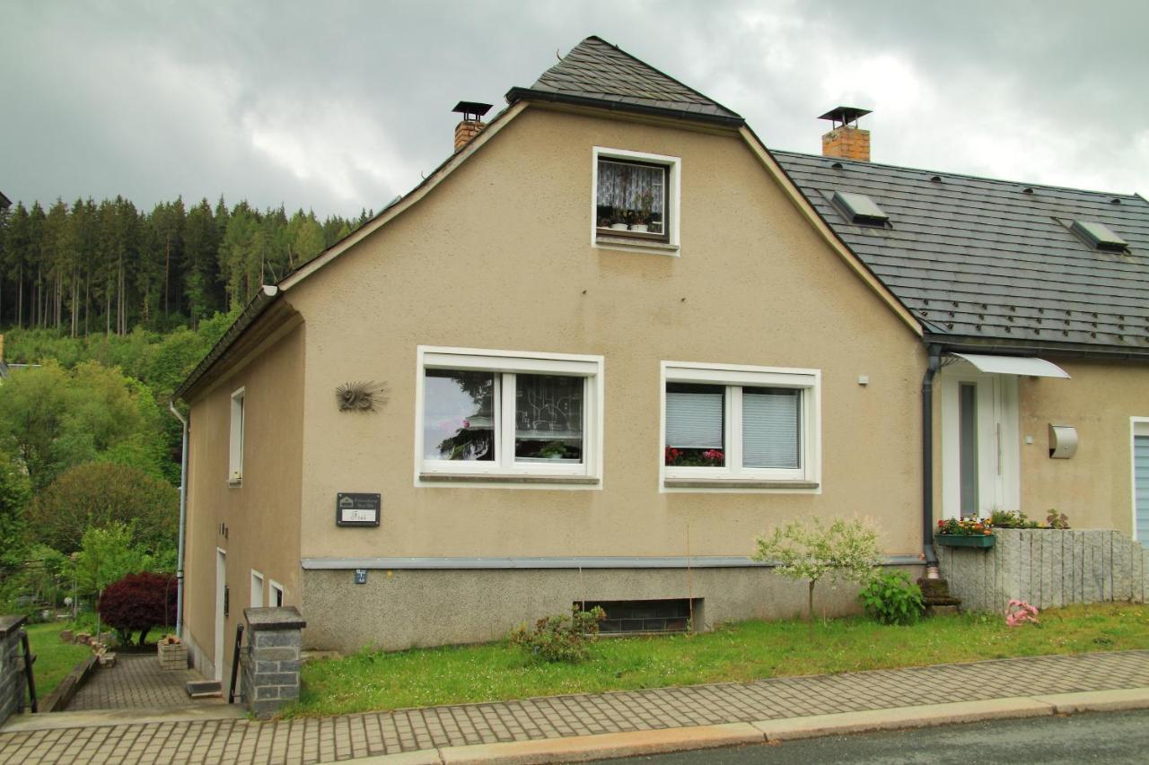 Ferienwohnung Haus Felix Bad Elster Exterior foto