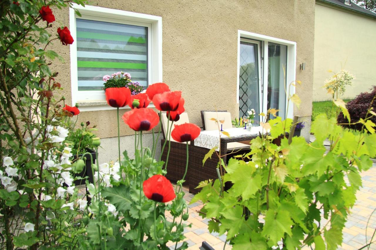 Ferienwohnung Haus Felix Bad Elster Exterior foto